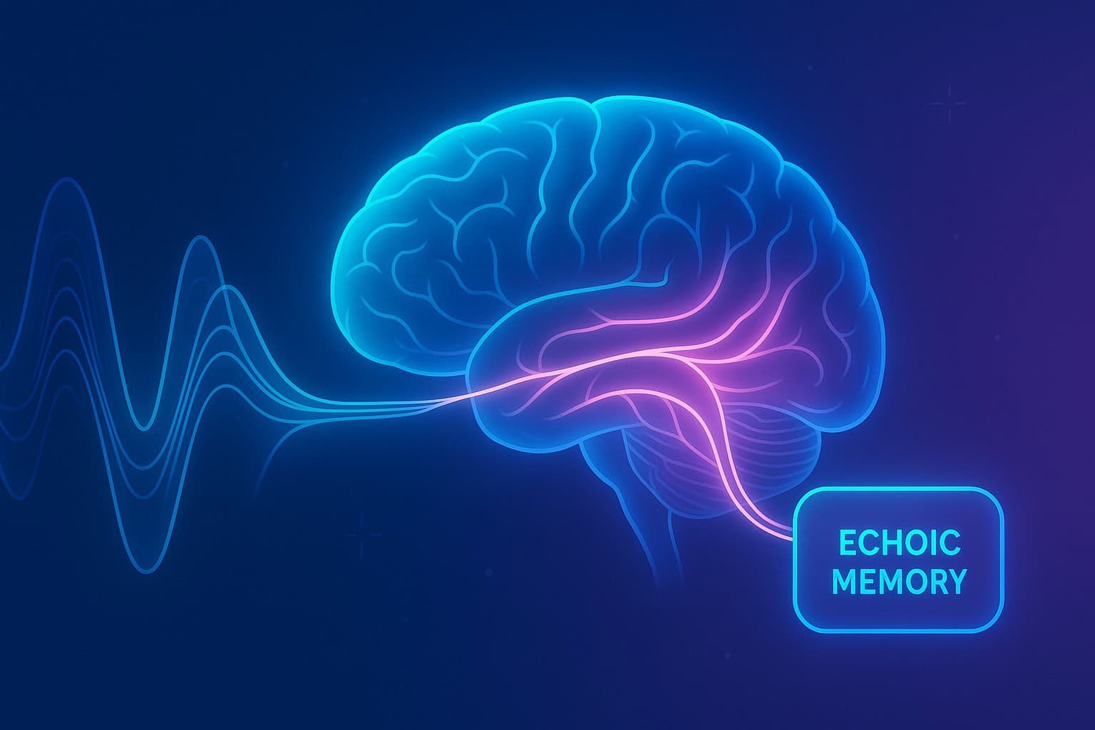 “Neon-style neuroscience illustration showing sound waves entering the brain and activating the auditory cortex, labeled as echoic memory.”