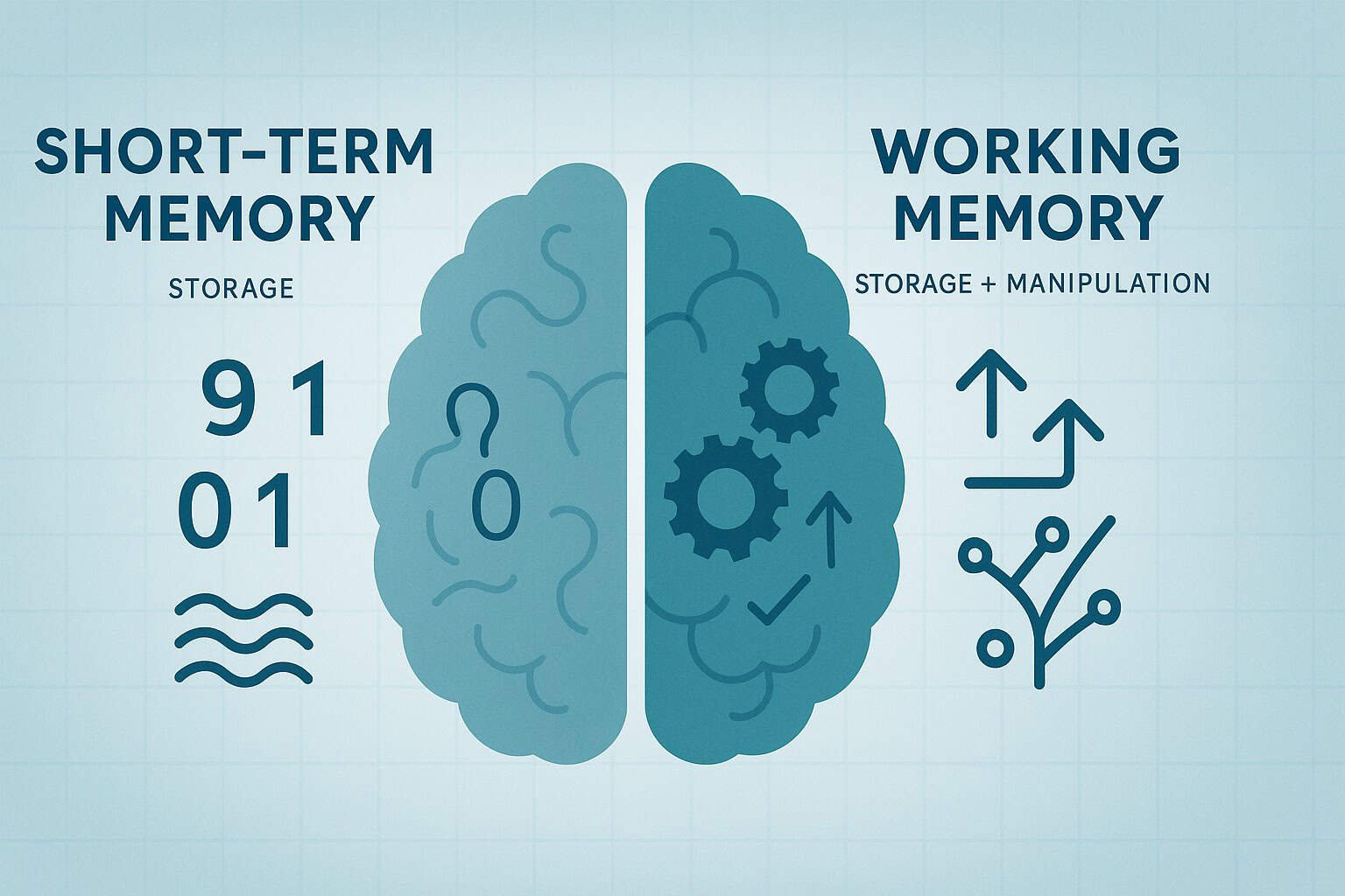 “Illustration comparing short-term memory and working memory with brain diagrams and cognitive icons, showing storage vs processing differences.”